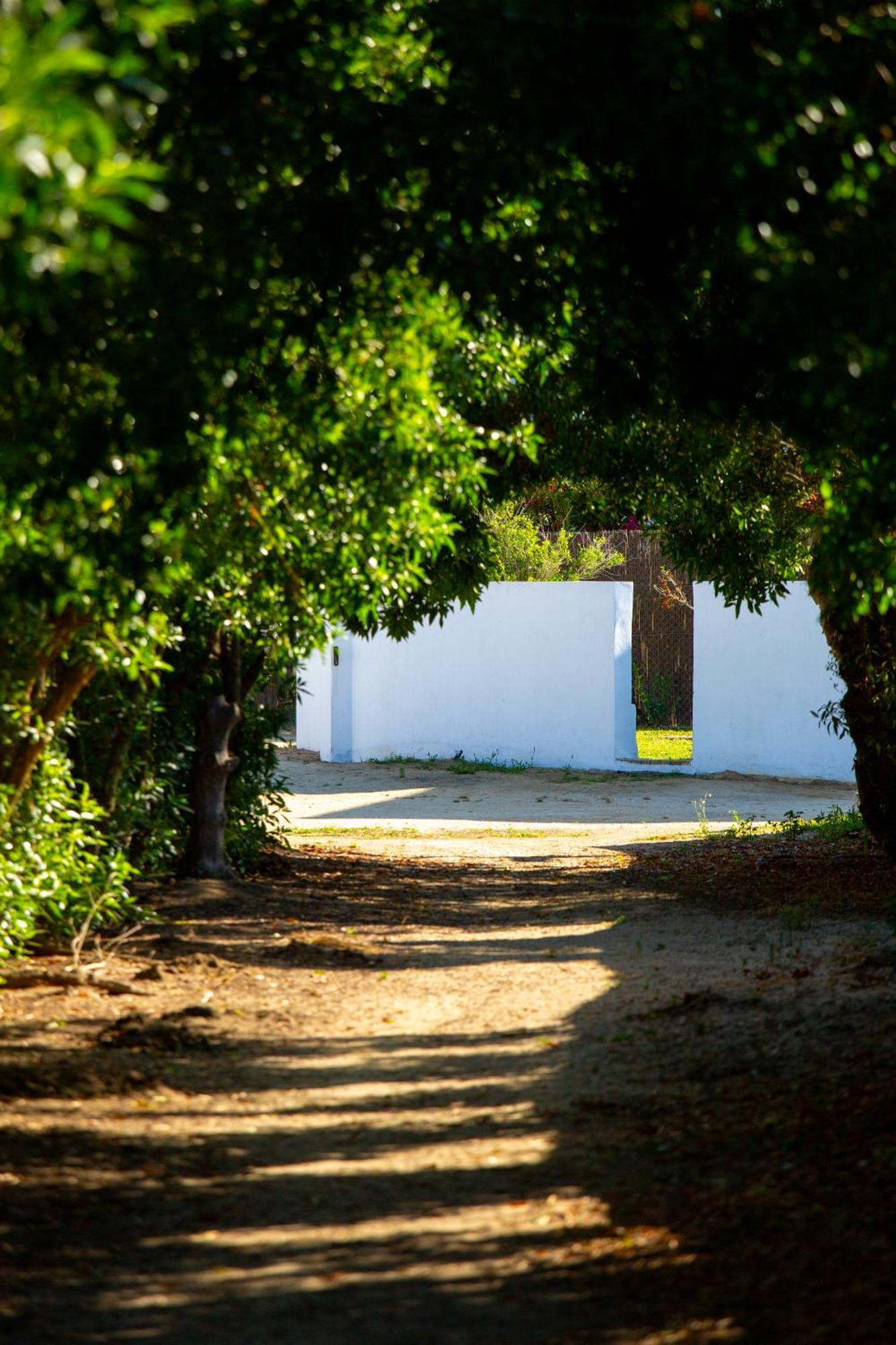 Casara Tres - 2 Dormitorios - Jardin Y Acceso Privado A La Playa Zahora Exterior foto